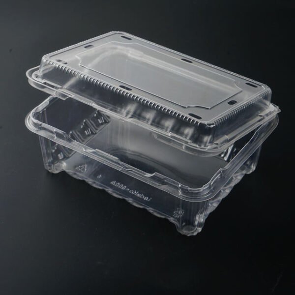 Disposable Clear Plastic Clamshell Food Blister Box Container