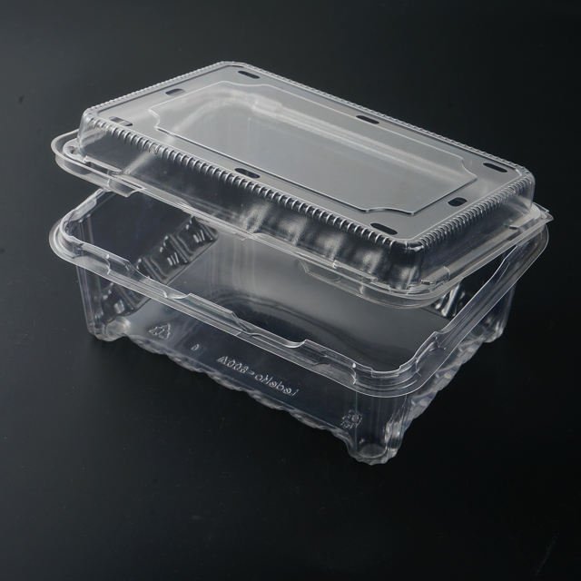 Disposable Clear Plastic Clamshell Food Blister Box Container