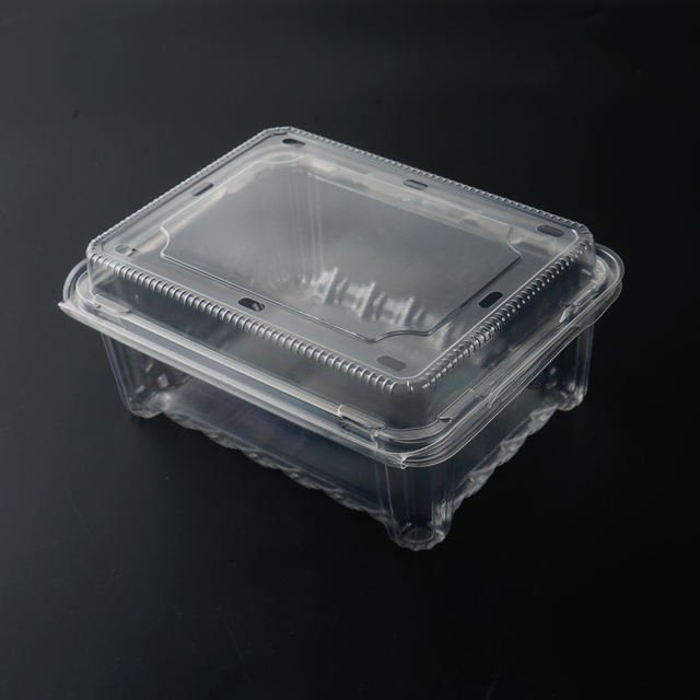 Disposable Clear Plastic Clamshell Food Blister Box Container - Image 3