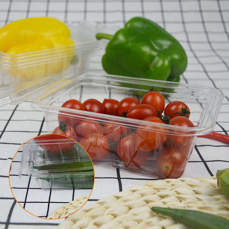 Disposable Extensive Use Clear Plastic Packing Box for Fruit - Image 3