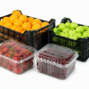 fruit container for berry growers