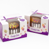 blister cake box for chocolate brands