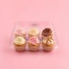 Custom Cupcake Dessert Blister Container with Lid