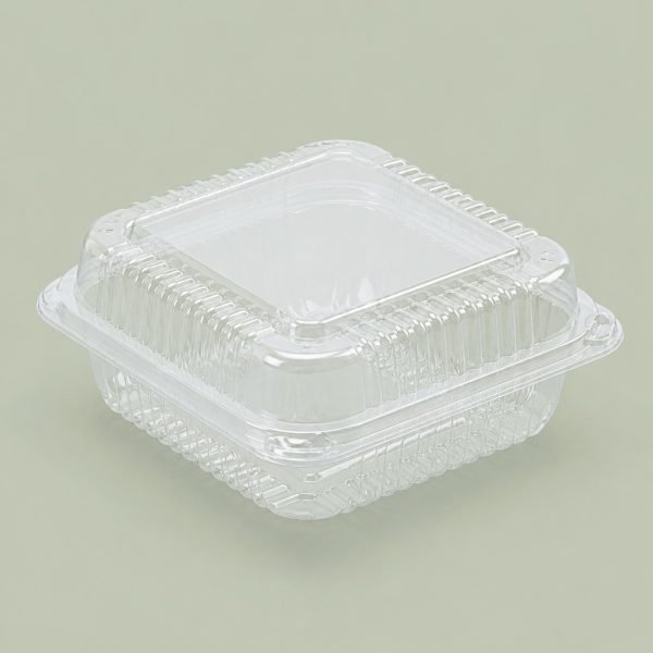 Disposable Clear Plastic Packing Box for Retail Foods