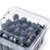 custom fruit container export