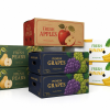 fruit container wholesale