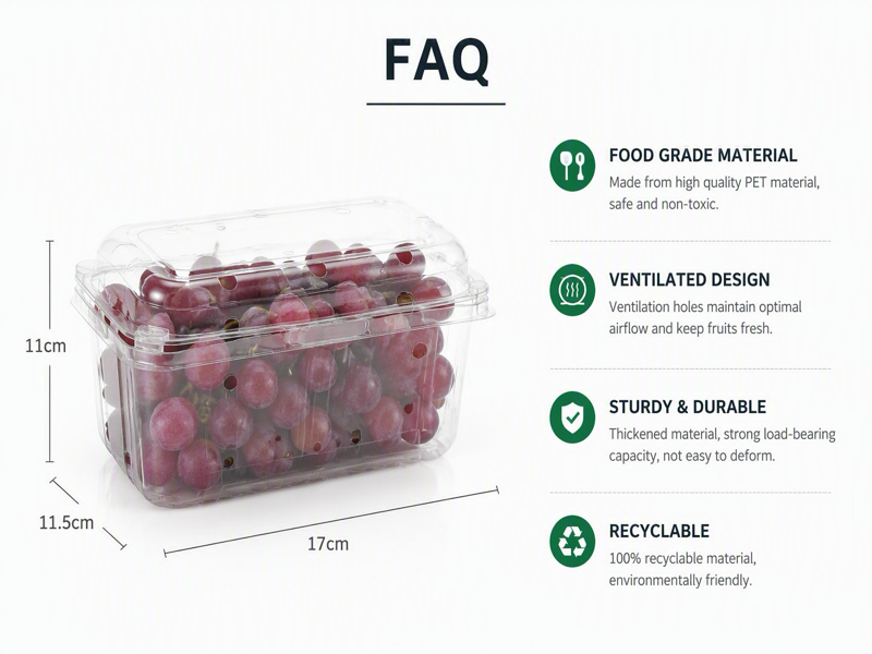 fruit container lead time