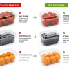 OEM custom fruit container