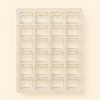 Plastic Blister Tray Cavity for Chocolate Insert Trays