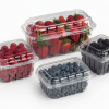 fruit container for produce farms