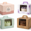 blister cake box samples