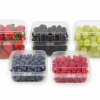 fruit container for wholesale markets