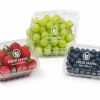 fruit container sales